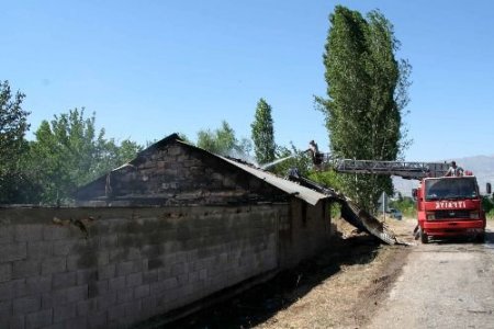 Hayvanlar Yanarak Telef Oldu