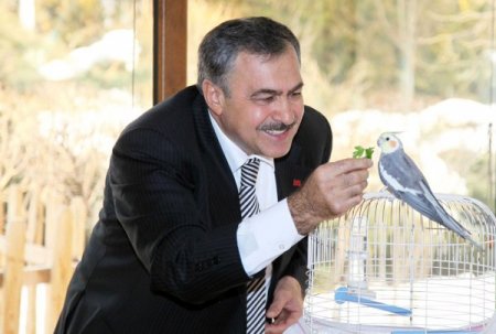 Hayvanlara kötü muamele yapanlara hapis cezası getirecek tasarı Meclis'te