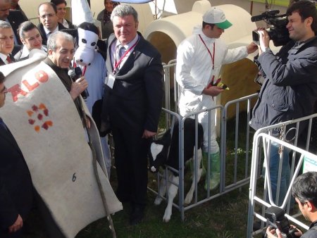 Hayvanların kulak küpelerinin yerine elektronik çip takılacak