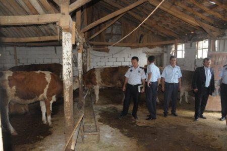Hayvanların şehir merkezinde satışına izin verilmeyecek
