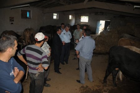 Hayvanların şehir merkezinde satışına izin verilmeyecek