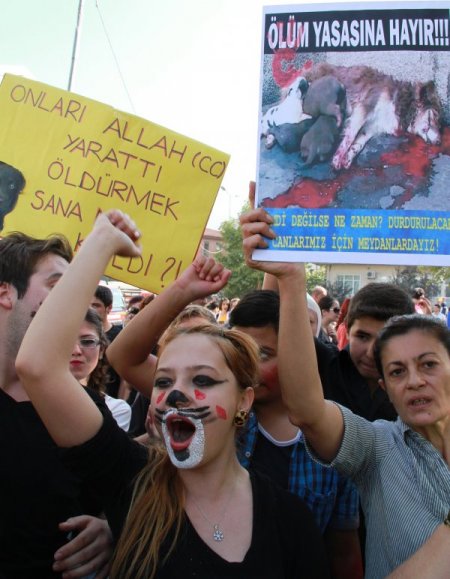 Hayvanseverler 5199 sayılı yasa tasarısı için sokaklara döküldü