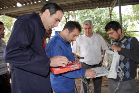 Hendek Belediyesi'nden kurbanlıklara ücretsiz gebelik testi