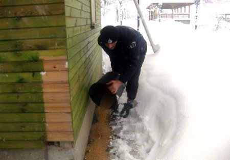 Hendek’te kuşlara yem bırakıldı