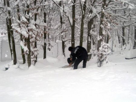 Hendek’te kuşlara yem bırakıldı