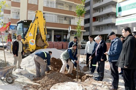 Her aileye bir turunç
