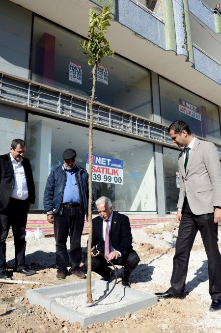 Her aileye bir turunç