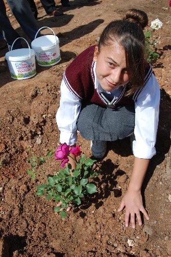 Her öğrenci bir gül dikti, okulu gül bahçesine çevirdi