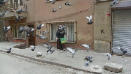Her Sabah Sokağındaki Kuşları Yemliyor