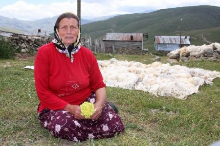 "her Şeyin 100 Sene Önceki Gibi Olduğu Zile Obası, Pansiyonculuğa Açılmalı"