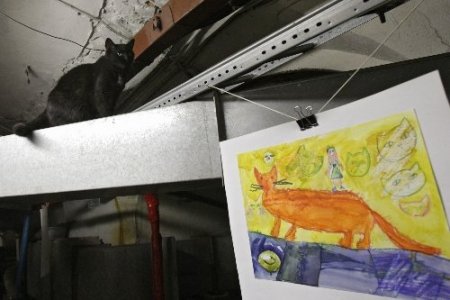 Hermitaj Müzesi’nin kadrolu kedilerine özel kutlama