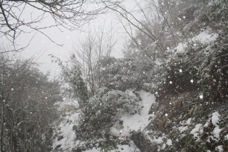 Heyelan Tehlikesi Yaşayan Köylü, Yardım Bekliyor