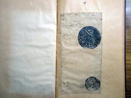 Hindistan’ın 13 kütüphanesinde onlarca Türkçe el yazma eser tespit edildi (Özel)