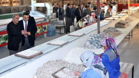 Hintli İşadamları, Akdeniz Ziyaretini Tekrarlayacak