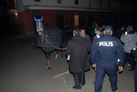 Hipodroma 'şafak' operasyonu