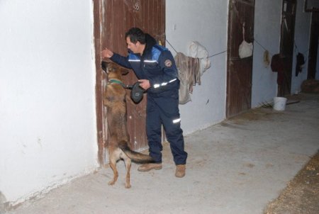 Hipodroma 'şafak' operasyonu