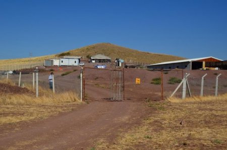 Hırsızlar tel örgüyü keserek koyunları çaldılar