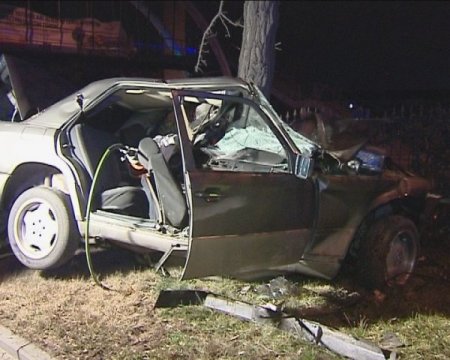 Hızla ağaca çarpan araçtaki şahıs öldü