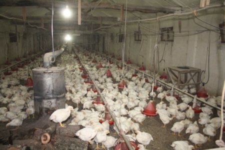 Hızla eriyen kar suları taşkın ve heyelana sebep oldu