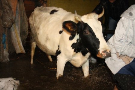 Hızla eriyen kar suları taşkın ve heyelana sebep oldu