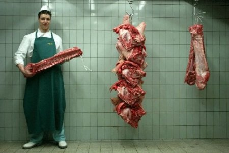 Hollanda 50 bin ton eti, at eti şüphesi ile toplatmaya başladı