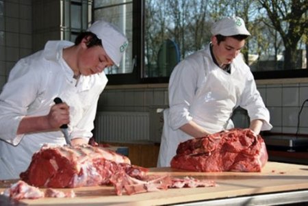 Hollanda 50 bin ton eti, at eti şüphesi ile toplatmaya başladı