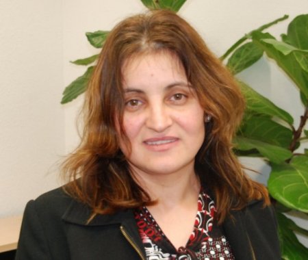 Hollanda'da anne-baba kursu