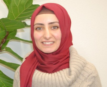 Hollanda'da anne-baba kursu