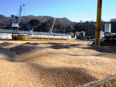 Hopa Limanı Hopaport ile ihracatçı ve ithalatçının hizmetinde