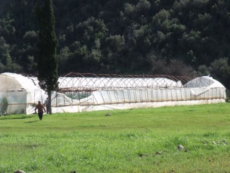 Hortum, Demre'de seraları yıktı