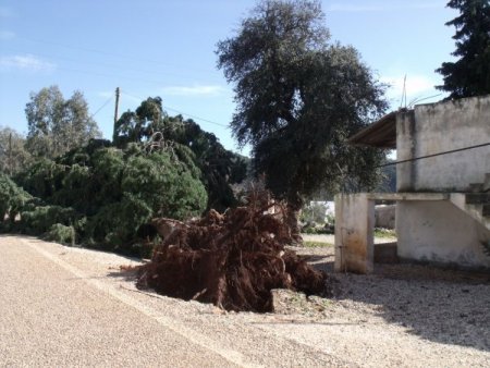 Hortum, Demre'de seraları yıktı