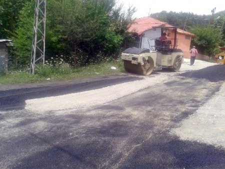 Horzum Yaylası’nda asfaltlama çalışması başlatıldı