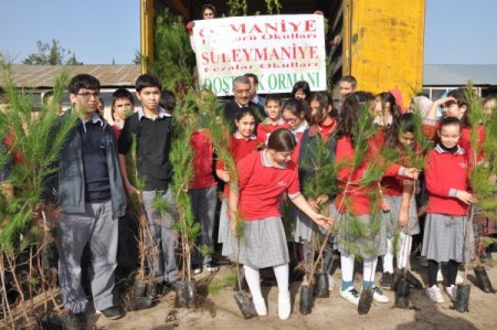 Hoşgörü öncülüğünde Irak’a 10 bin fidan gönderildi