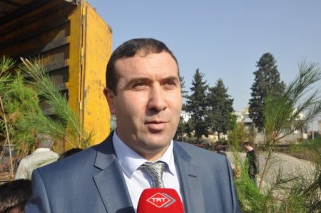 Hoşgörü öncülüğünde Irak’a 10 bin fidan gönderildi