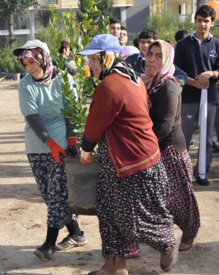 Hoşgörü öncülüğünde Irak’a 10 bin fidan gönderildi