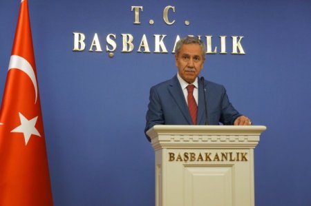 Hükümet Sözcüsü Arınç: Hepimiz Adli Tıp'ın raporunu bekleyeceğiz