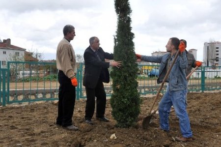 Hükümlüler, fidan dikerek ilçeyi yeşillendiriyor