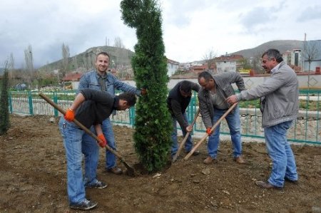 Hükümlüler, fidan dikerek ilçeyi yeşillendiriyor
