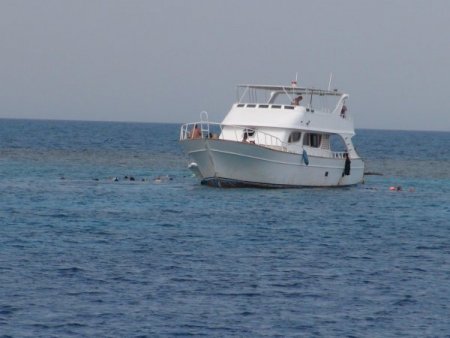 Hurgada'da dalıp Kızıldeniz'in güzelliğini keşfediyorlar