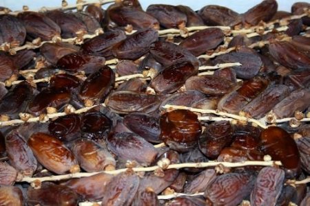 Hurma Tezgahlara İndi (özel)