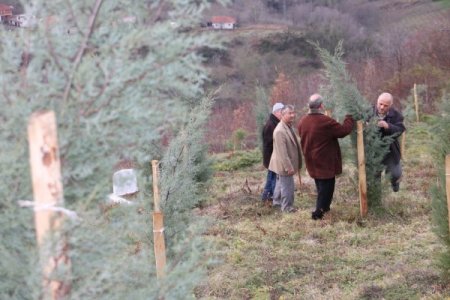 Huzur Derneği yönetimi, fidanlara sahip çıkan köylülere teşekkür etti