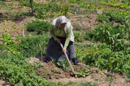 Huzurevi Sakinleri Kendi Bahçesini Oluşturdu