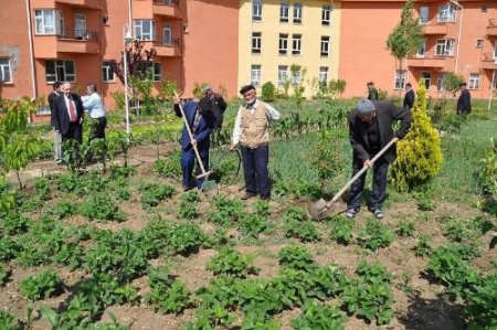 Huzurevi Sakinleri Kendi Bahçesini Oluşturdu