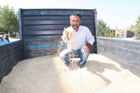 İç Anadolu Bölgesi'nde Yılın İlk Arpası Satıldı