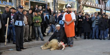İçişleri Bakanı Güler, Midyat’ta kurbanlar kesilerek karşılandı