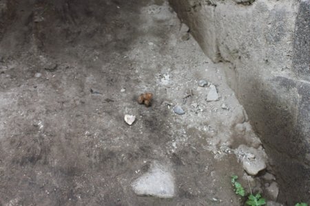 İçkale'de bir kuyuda kemikler bulundu