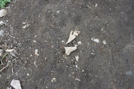 İçkale'de bir kuyuda kemikler bulundu