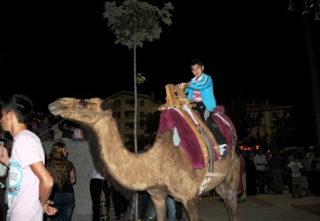 İftar Sonrası Deve İle Safari