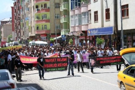 Iğdır'da Bdp'liler Operasyon Karşıtı Eylem Yaptı