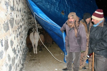 Iğdır'da kar ve tipide mahsur kalan çoban ve köylüler kurtarıldı